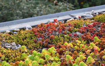 the cost of Templepatrick green roof installation