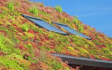 Templepatrick living roof systems